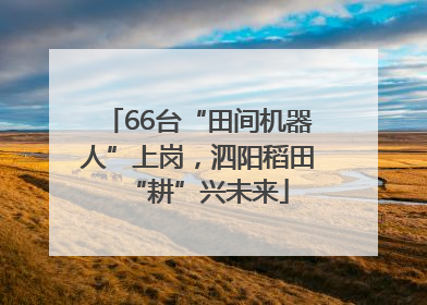 66台“田间机器人”上岗，泗阳稻田“耕”兴未来