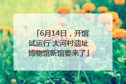 6月14日，开馆试运行 大河村遗址博物馆新馆要来了