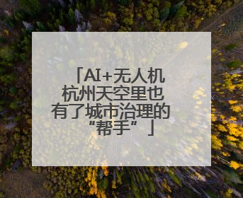 AI+无人机 杭州天空里也有了城市治理的“帮手”
