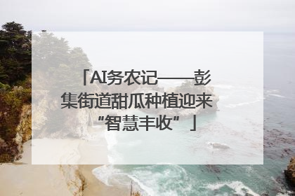 AI务农记——彭集街道甜瓜种植迎来“智慧丰收”