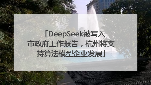 DeepSeek被写入市政府工作报告，杭州将支持算法模型企业发展