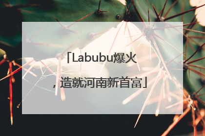 Labubu爆火，造就河南新首富