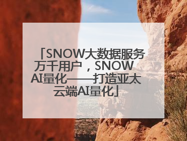 SNOW大数据服务万千用户，SNOW AI量化——打造亚太云端AI量化