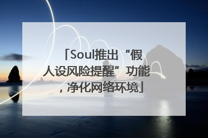 Soul推出“假人设风险提醒”功能，净化网络环境
